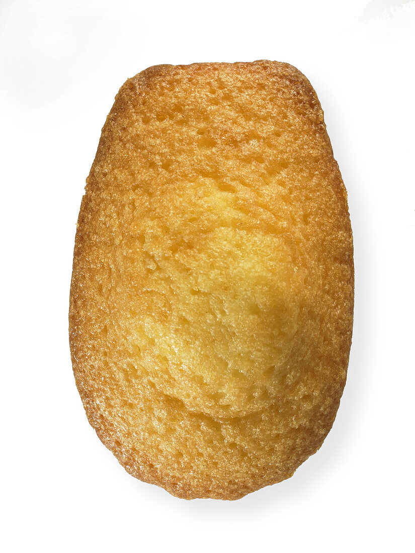 A madeleine against a white background (close-up)