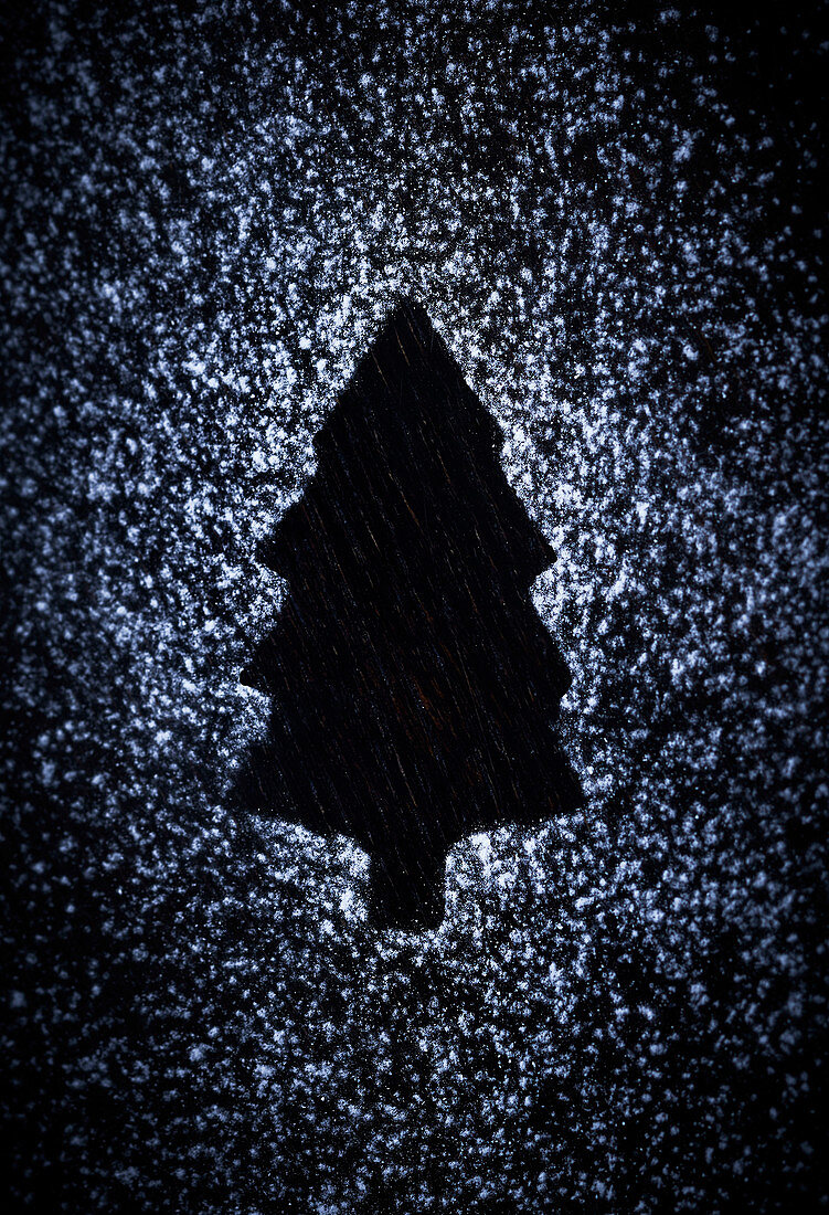 Outline of a fir tree on black background