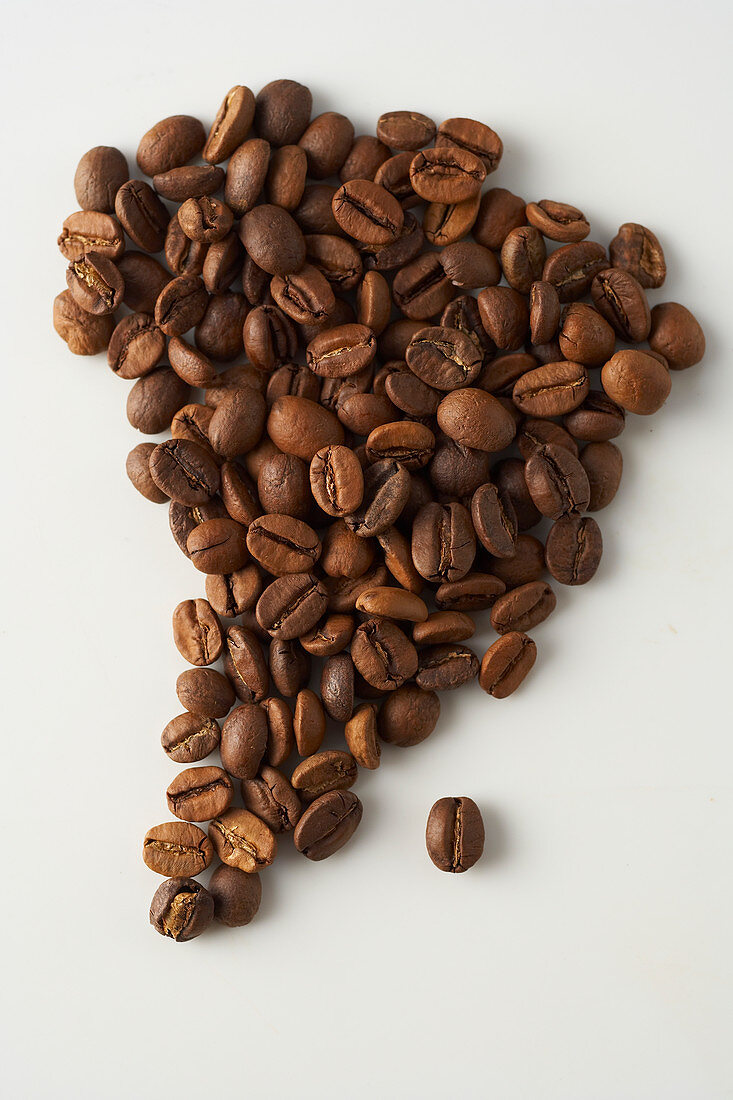 Der Kontinent Afrika aus Kaffeebohnen gelegt