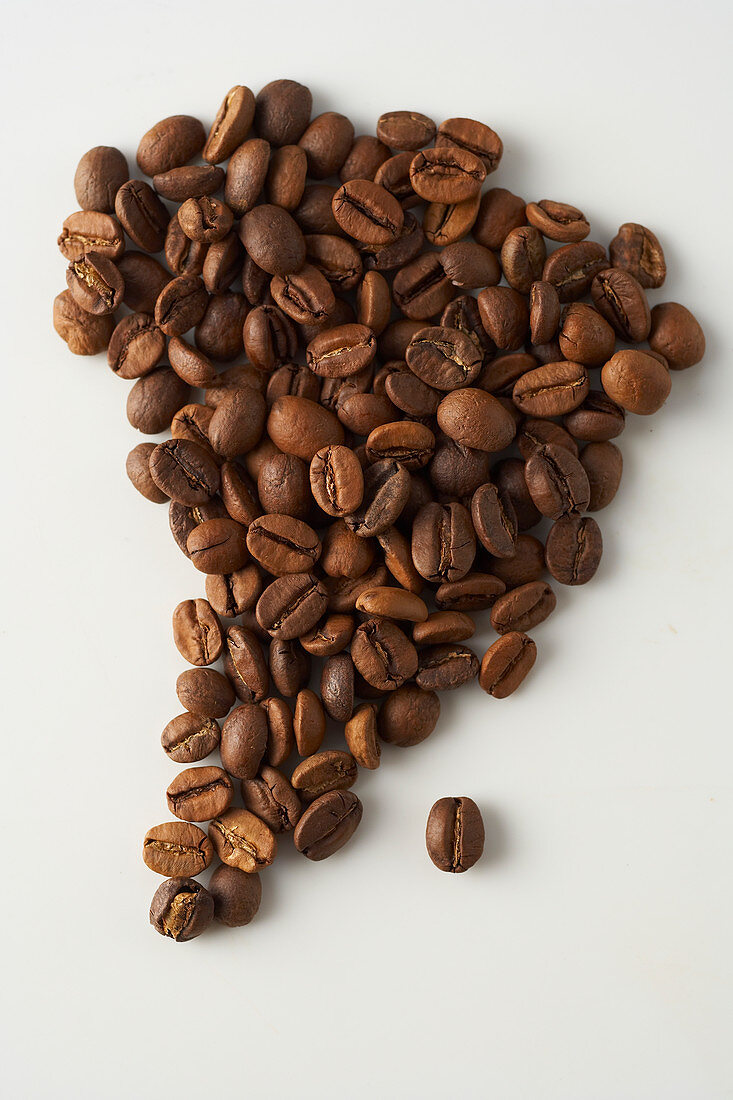 The continent of Africa made from coffee beans