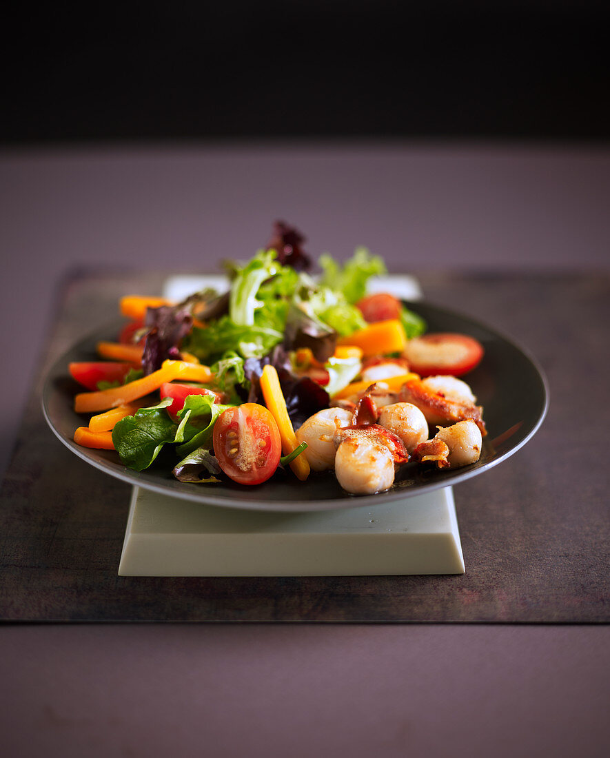 Mixed vegetable salad with grilled scallops