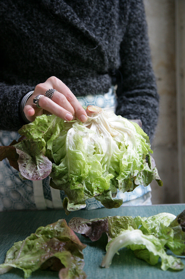 Woman preparing the salad, oak leaf