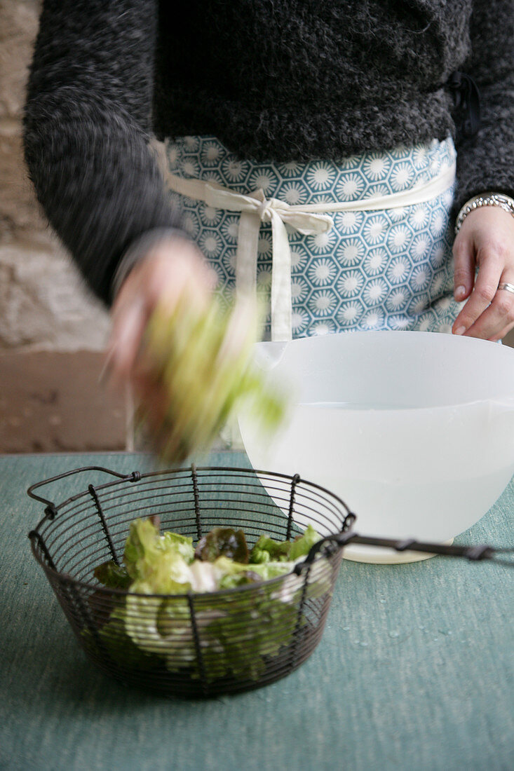 Frau bei der Vorbereitung von Eichblattsalat