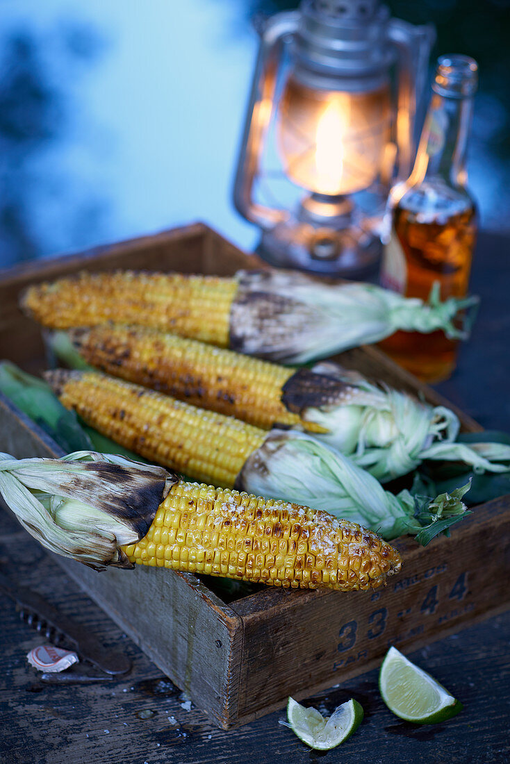 Grilled corn on the cob outdoors by water