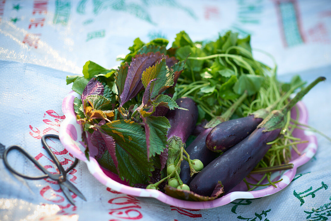 Thai fresh herbs