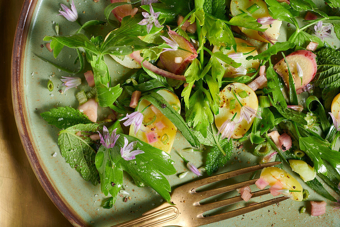 Mixed spring salad