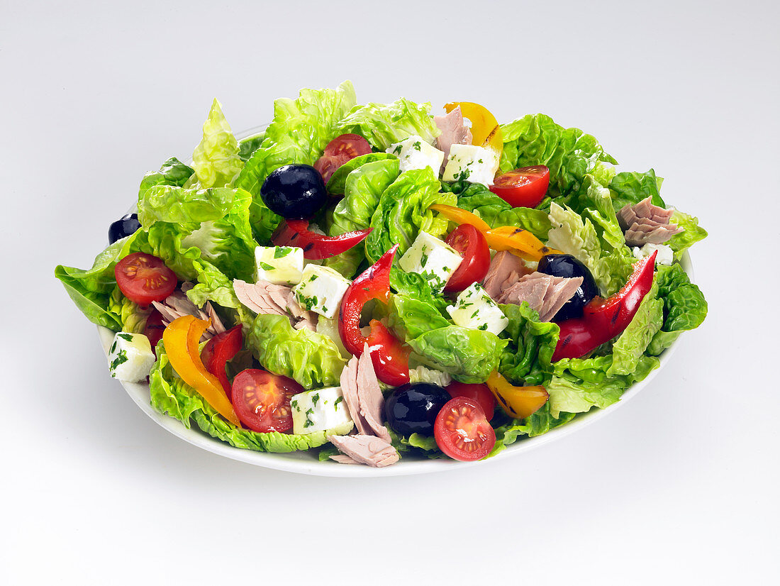 Gemischter Salat mit Thunfisch