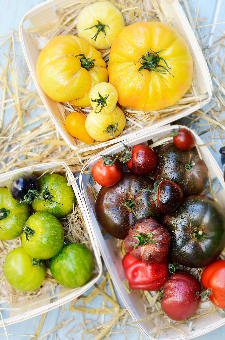 Verschiedenfarbige Tomaten in Körben