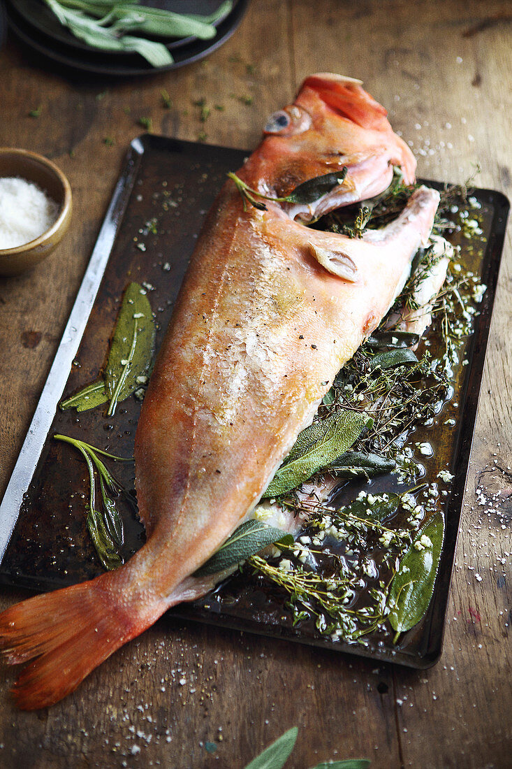 Grilled rock fish with herbs