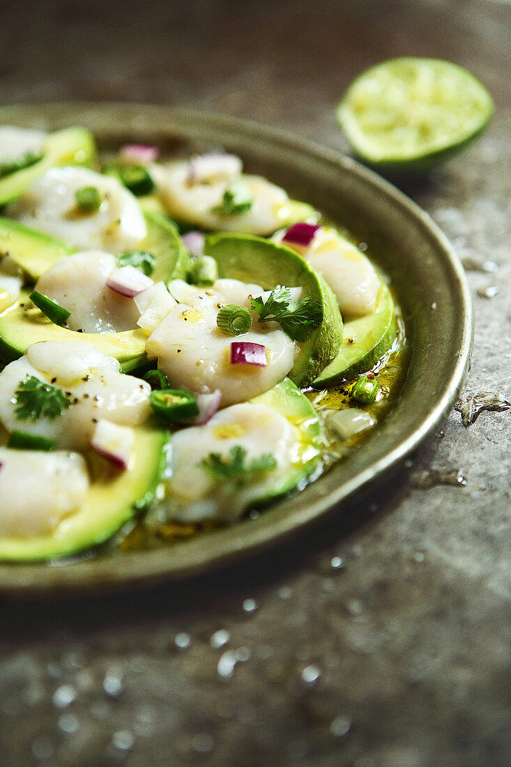 Jakobsmuschel-Ceviche mit Avocado