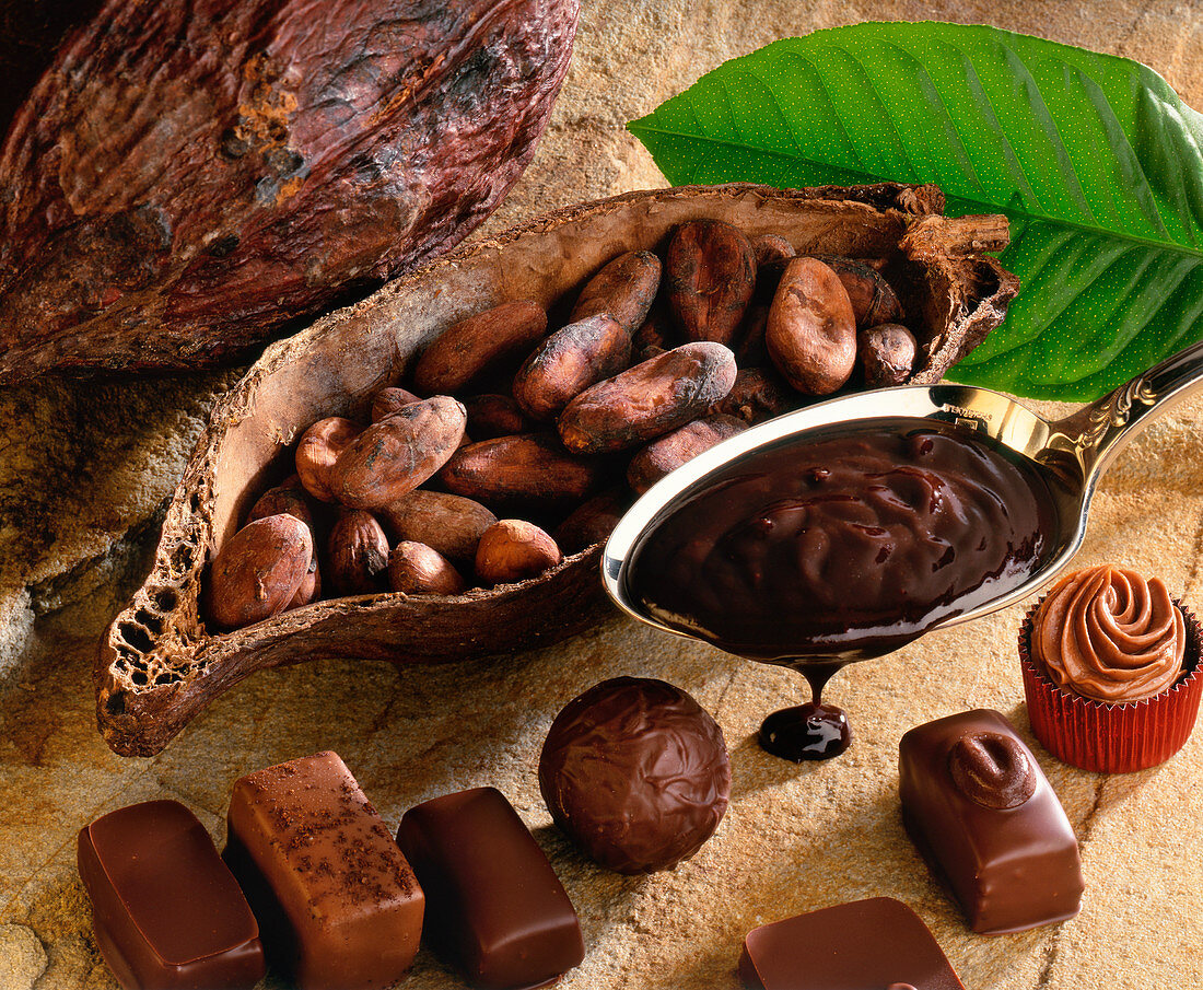 Stillleben mt Kakaoschote, Kakaobohnen, flüssiger Schokolade und Schokoladenkonfekt