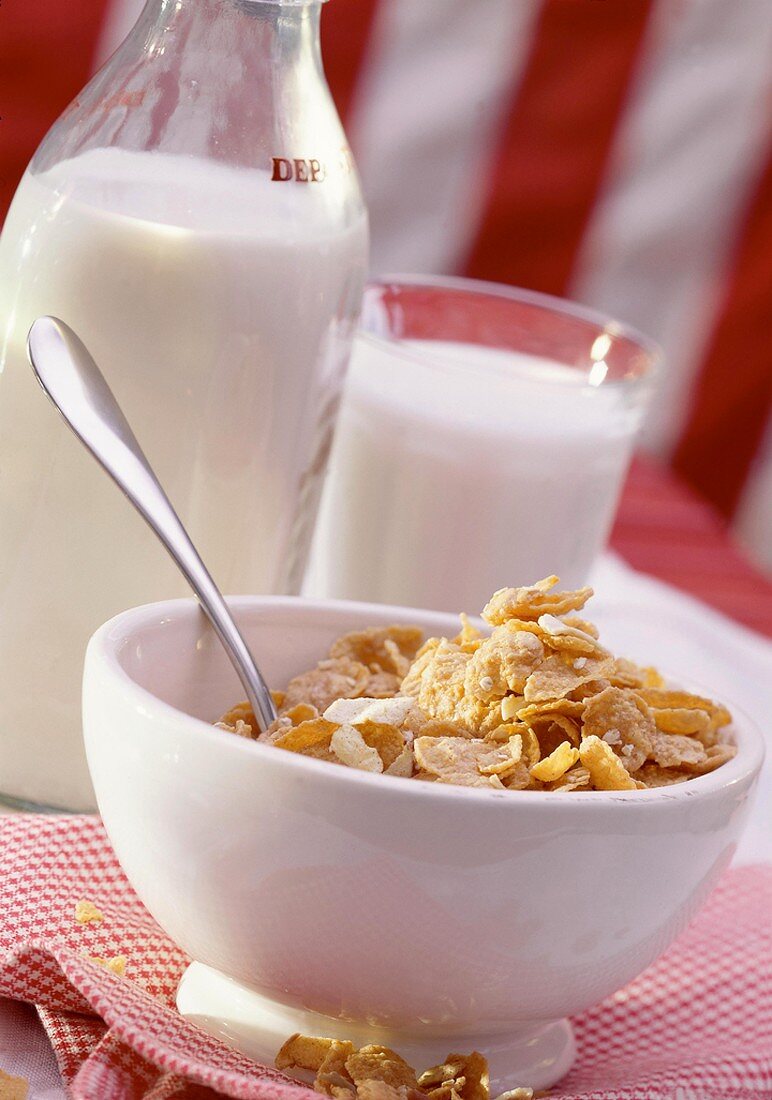 A Bowl of Cornflakes with Milk