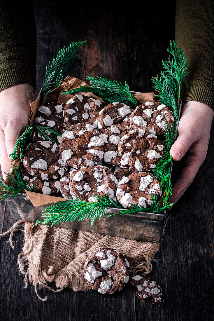 Chocolate crinkle biscuits in a metal tin
