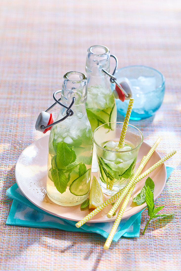 Cucumber Cocktail with Mint