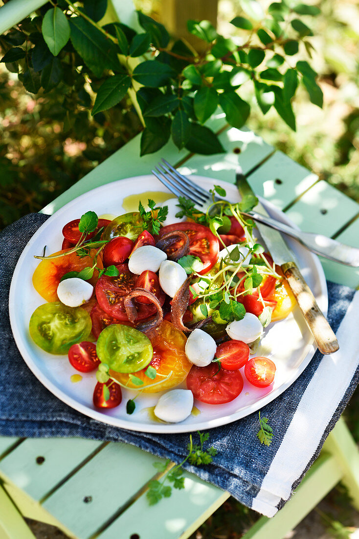 Multicolored tomato salad with anchovies and mozzarella cheese