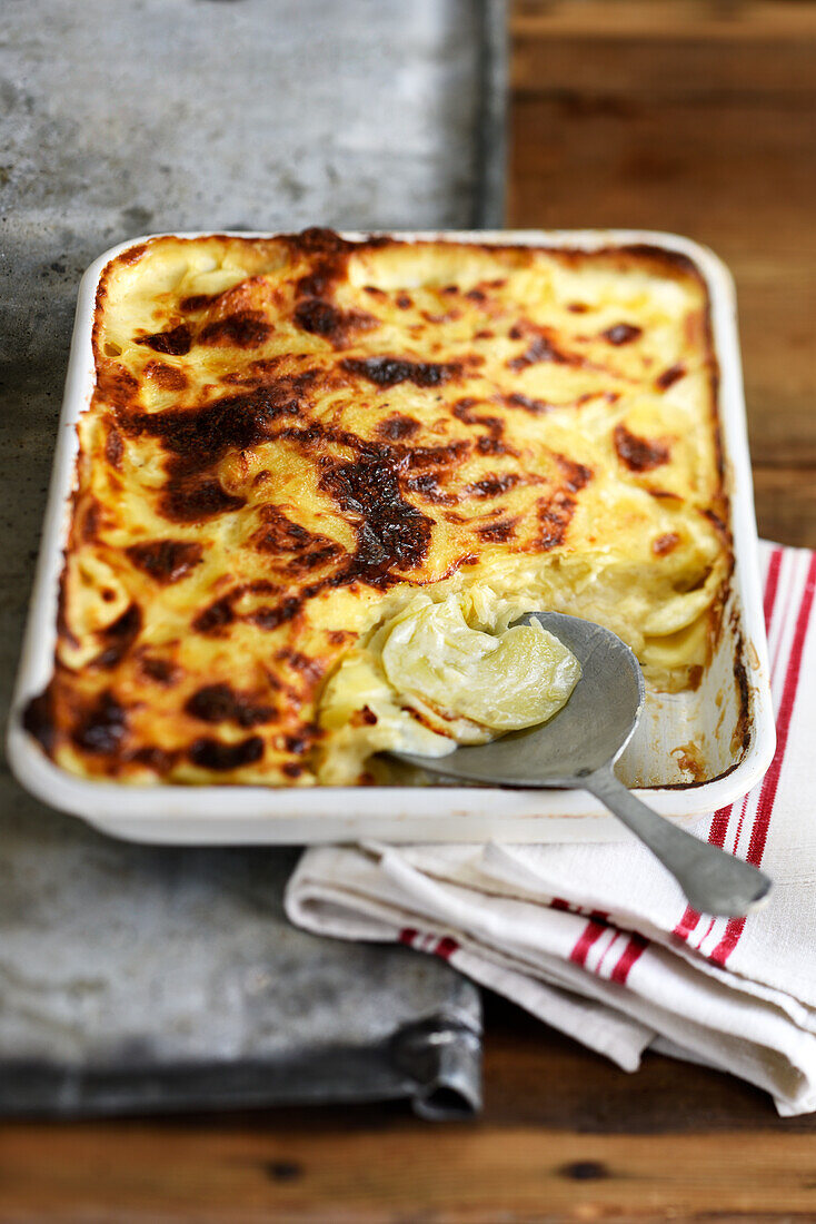 Gratin of eggplant with mozzarella