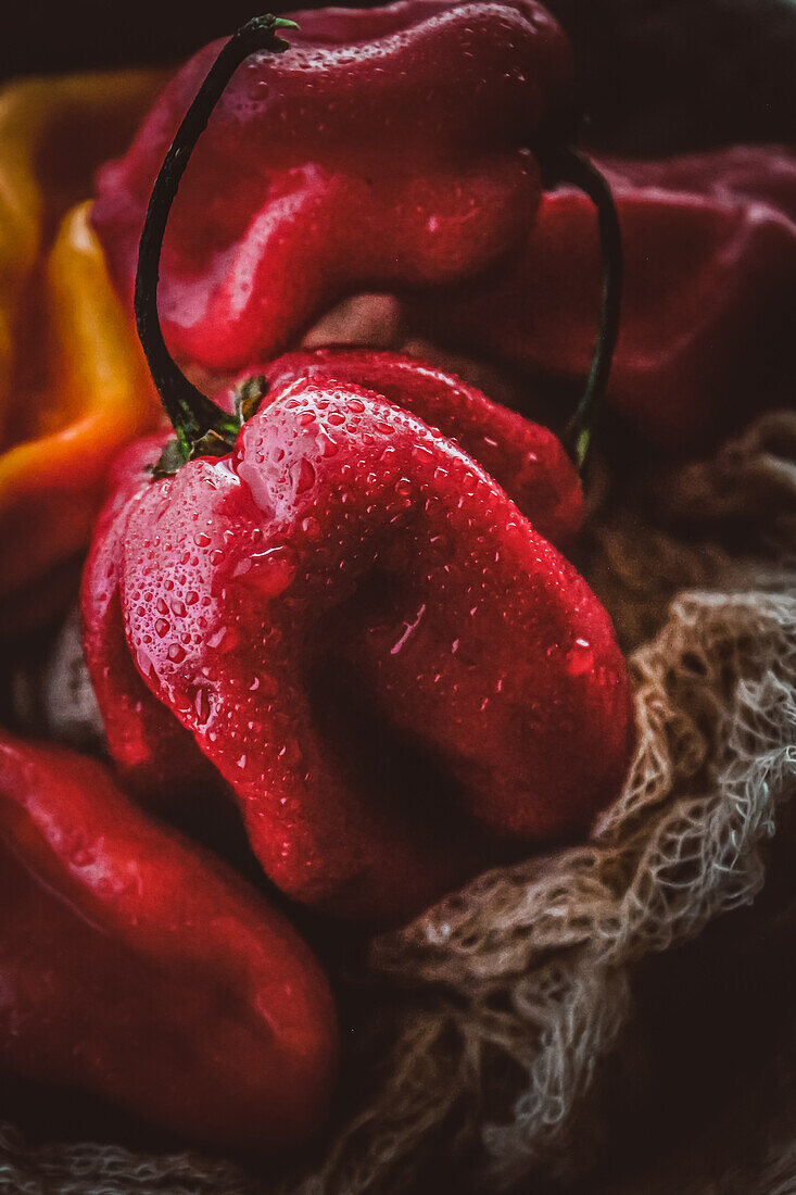 Caribbean Chillies (Close Up)