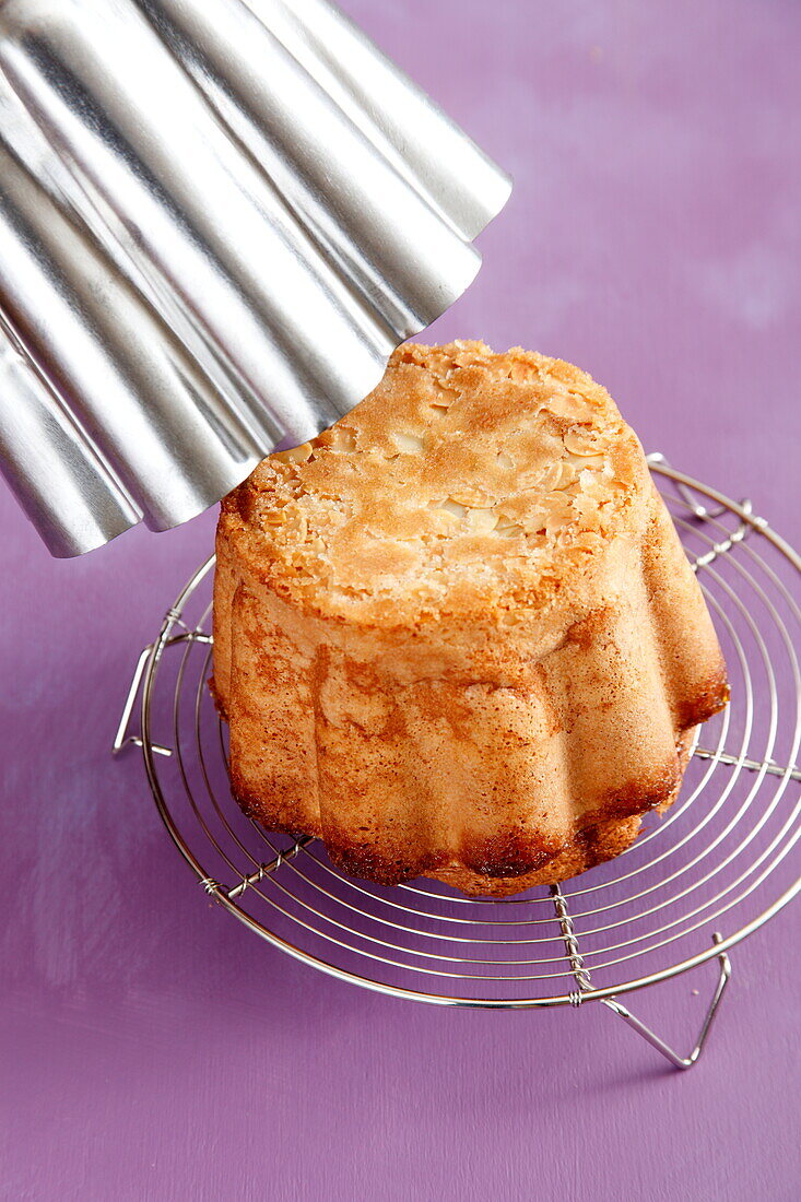 Biscuit de Savoie (sponge cake, France)