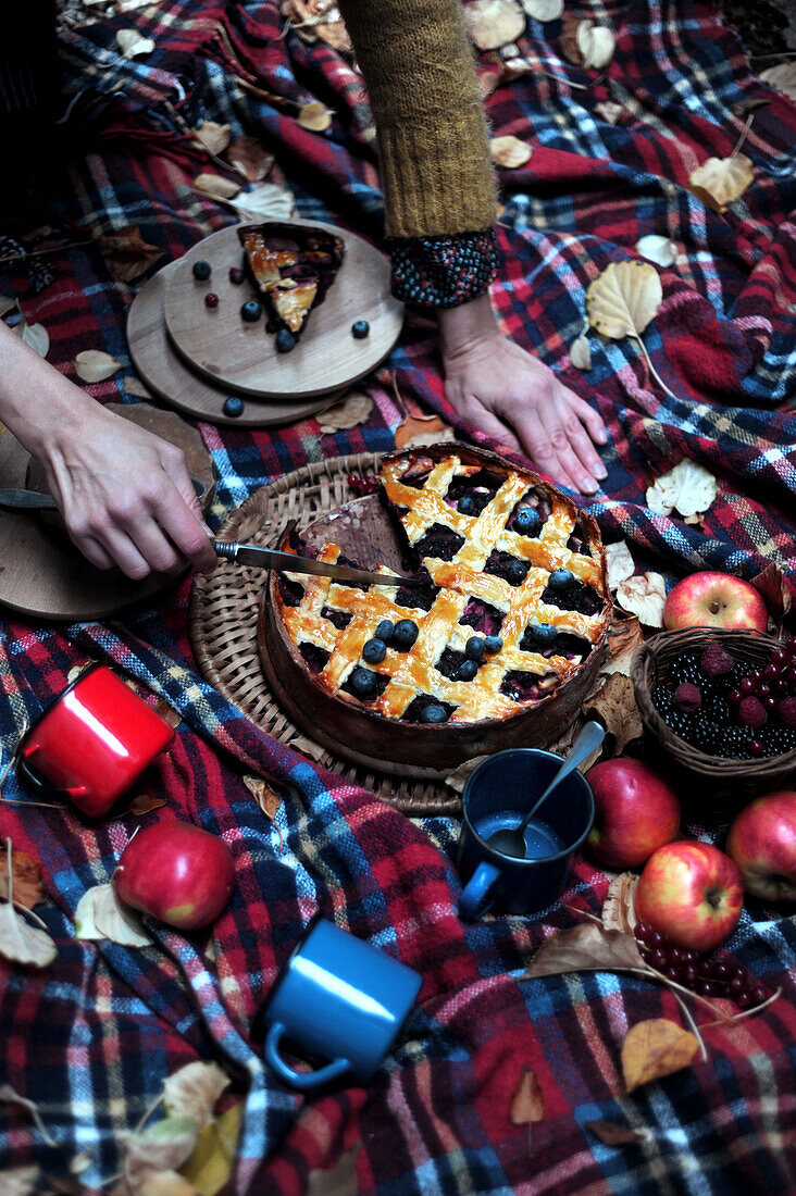 Berry pie with pastry lattice on picnic blanket