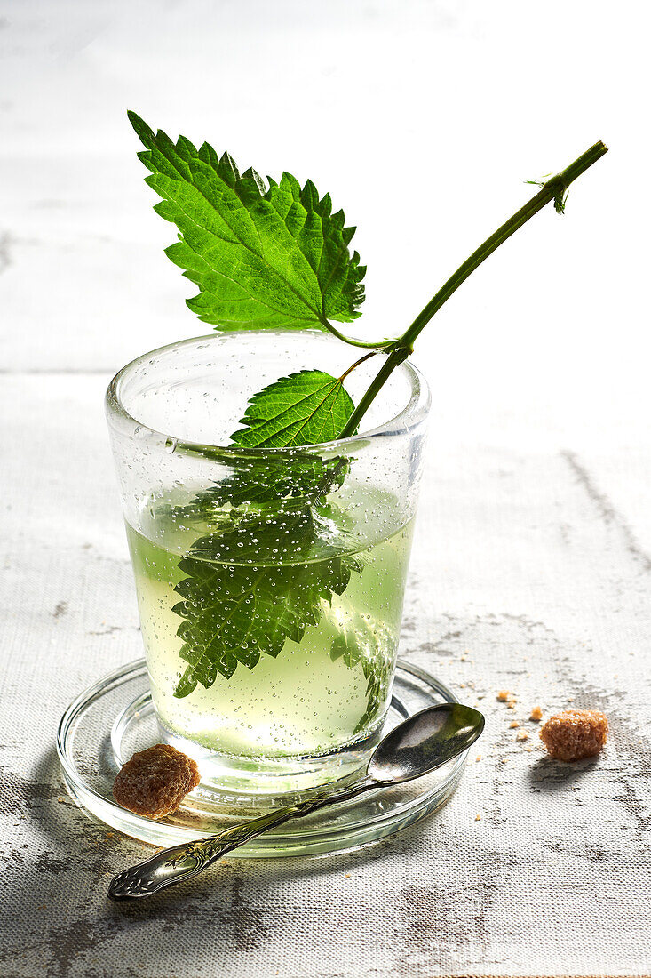 Nettle tea in a glass