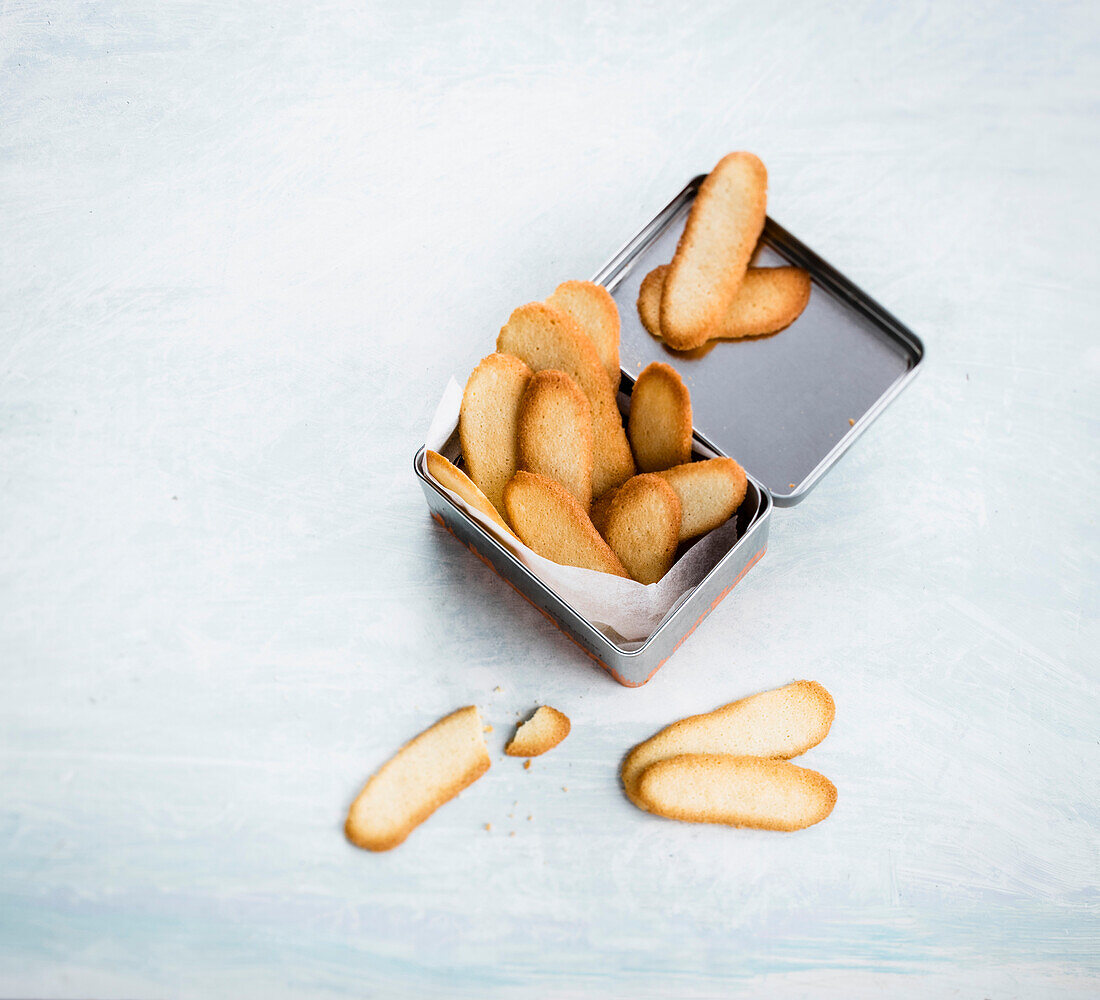 French Cat's tongues in a cookie tin