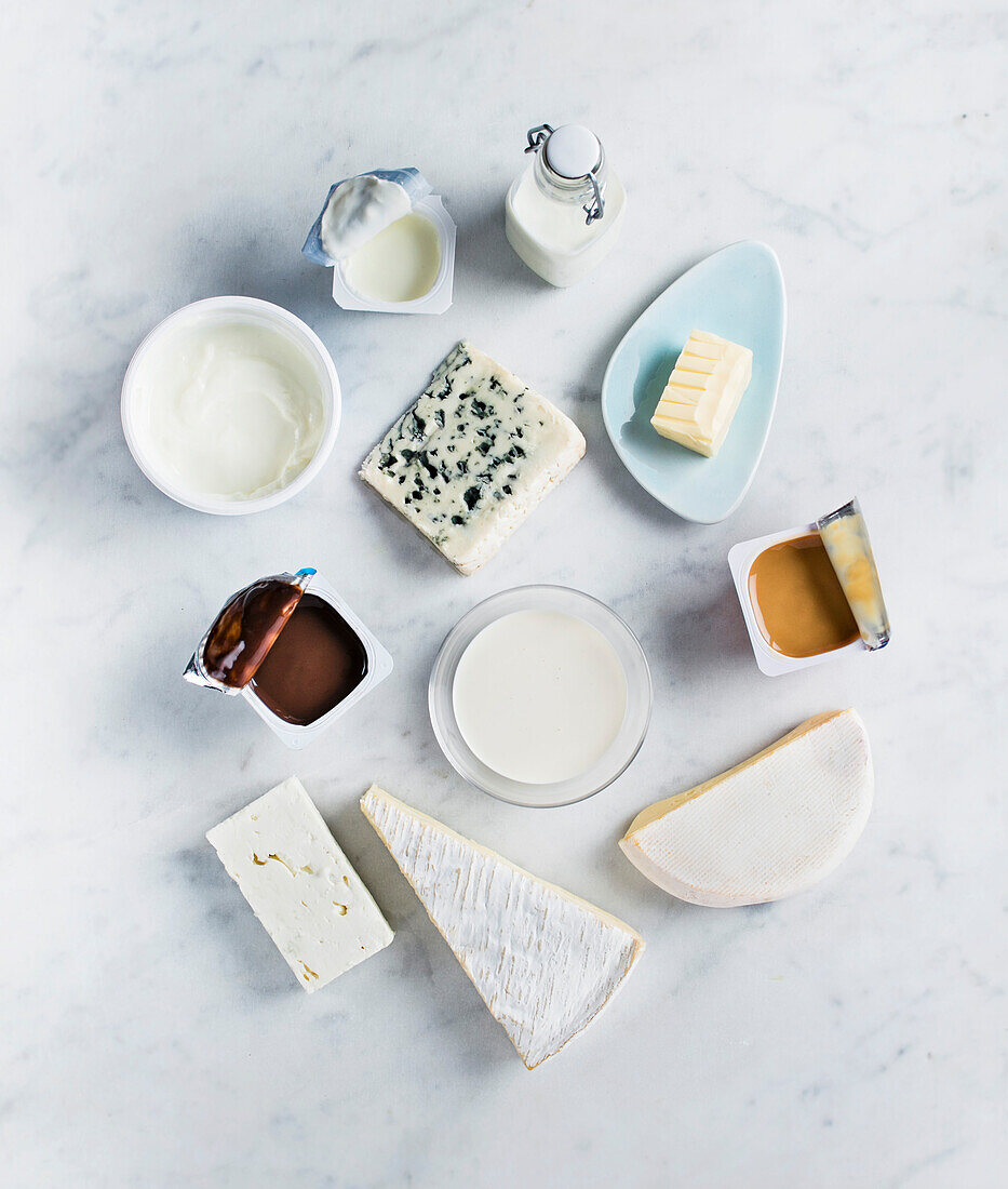 Milchprodukte und Käse für die Resteküche
