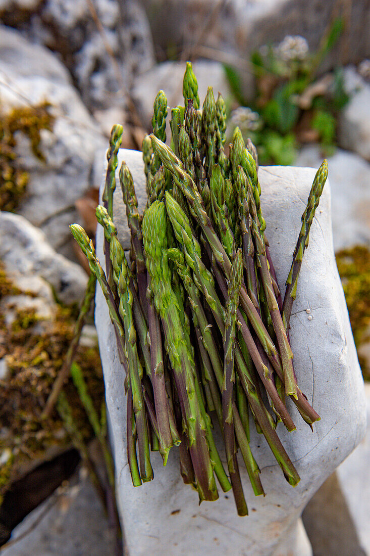 Fresh wild asparagus