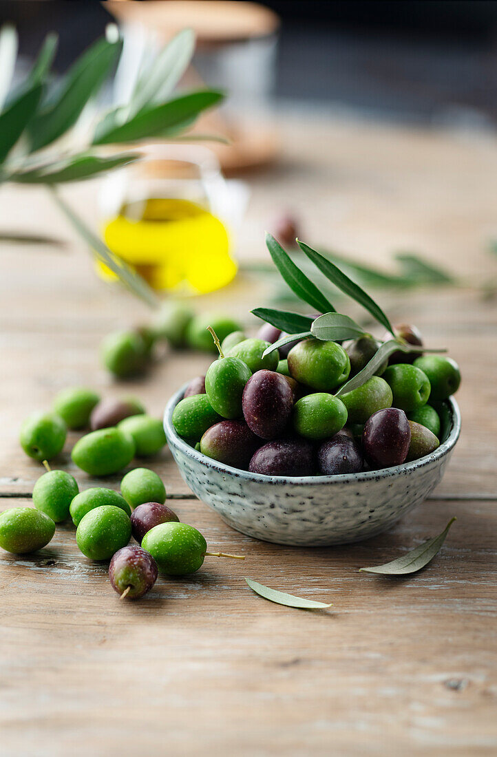 Freshly harvested olives in a bowl
