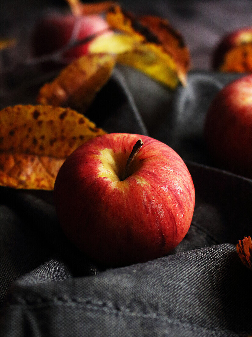 Herbstliches Stillleben mit roten Äpfeln