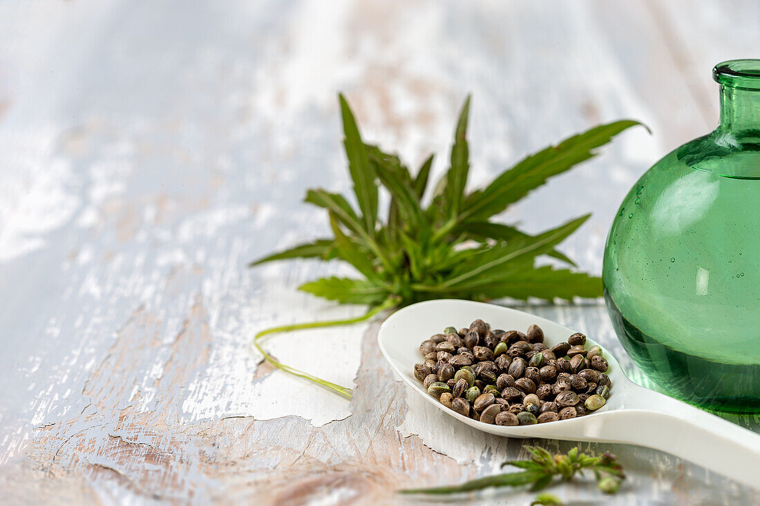 Hemp leaves, hemp seeds on spoon and hemp oil in glass bottle