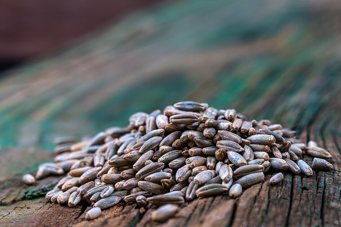 Small pile of rye grains on an old wooden board