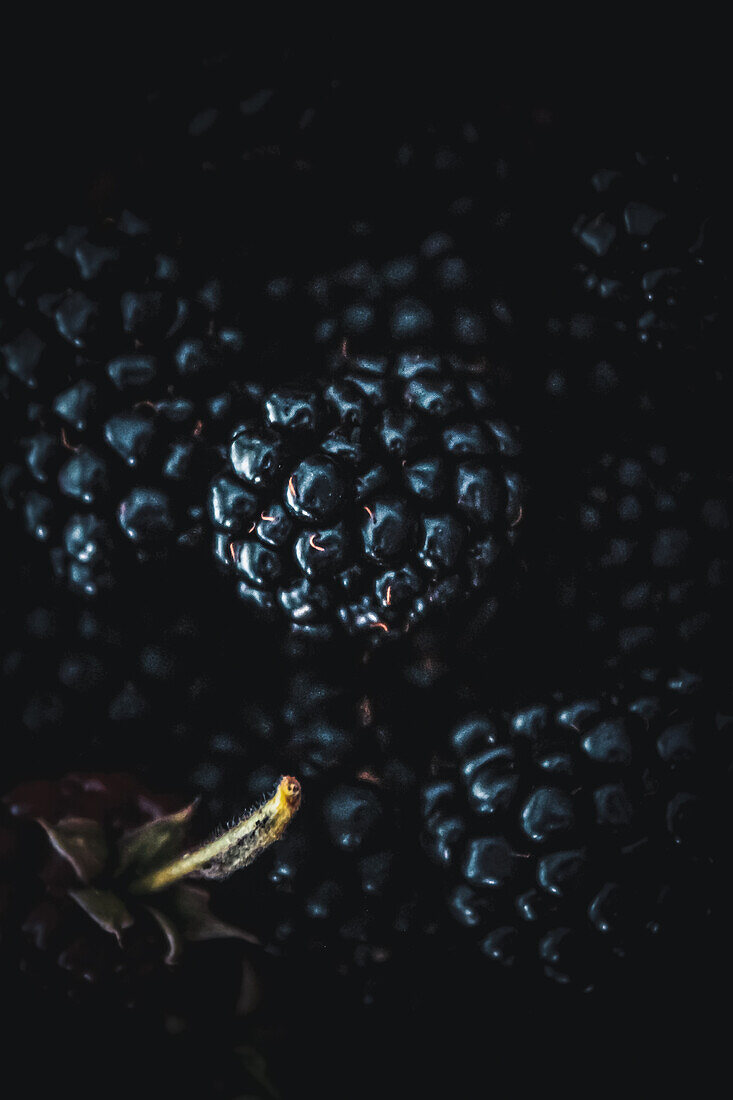 Brombeeren (Close Up)