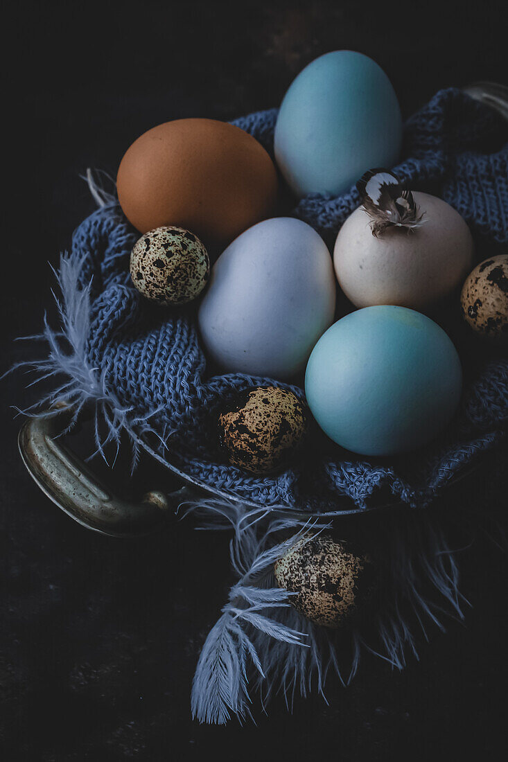 Verschiedene Eier in einer Schale