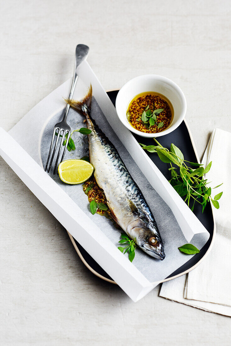 Mackerel with mustard and basil on paper