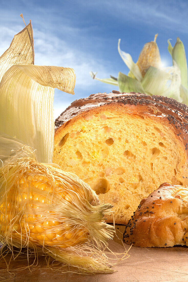 Maisbrot, angeschnitten davor ein frischer Maiskolben (Close Up)