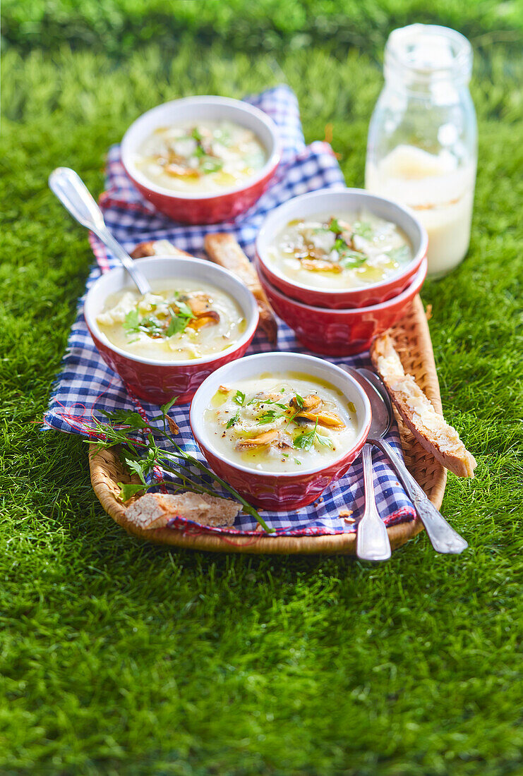 Cream of cauliflower soup with mussels