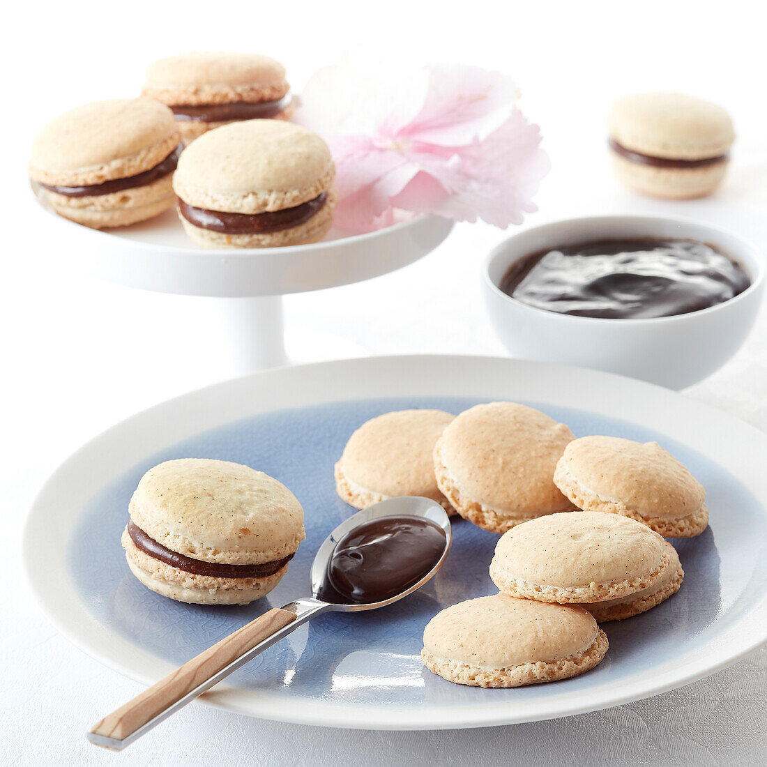 Garnishing the Macarons with the chocolate ganache filling