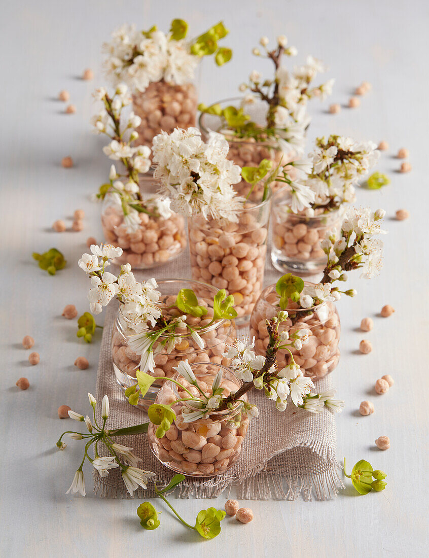 Gläser gefüllt mit Kichererbsen und Blütenzweigen als Frühlingsdekoration