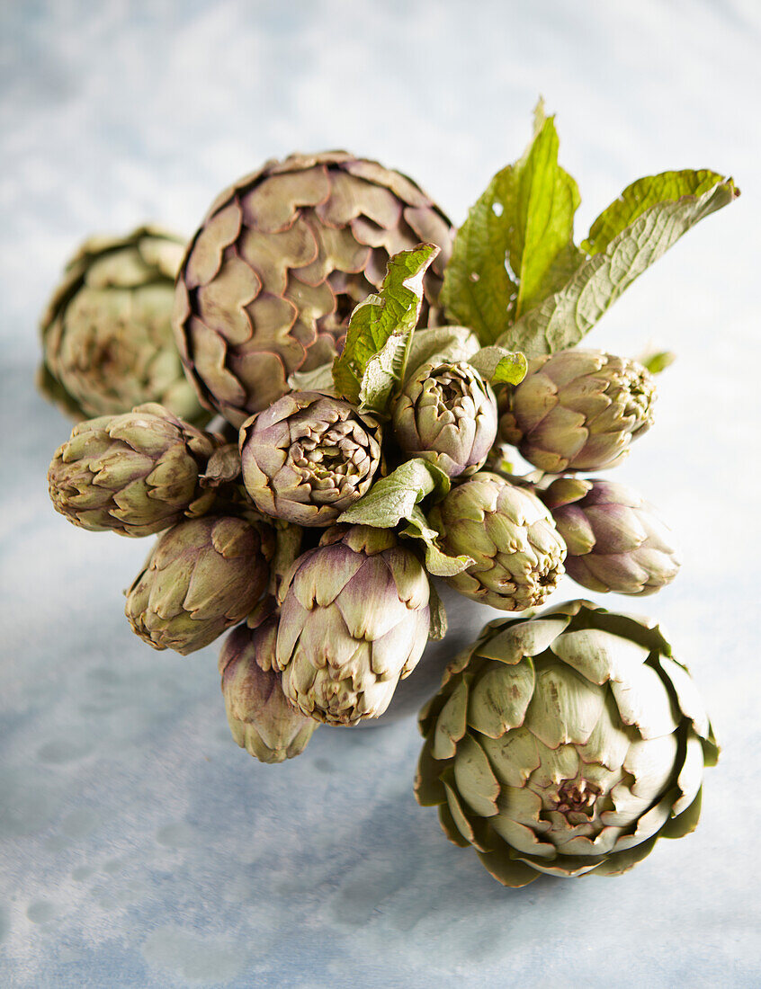 Bundle of Poivrade artichokes and large artichokes