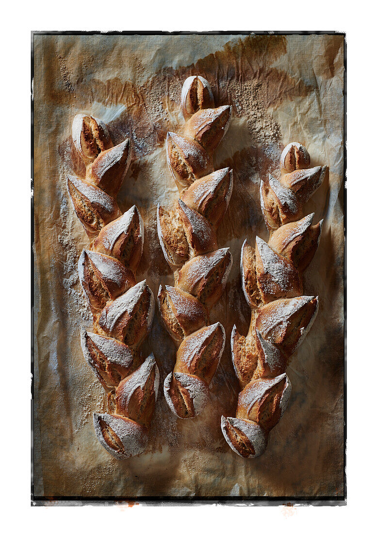 French baguette in the shape of a wheat stalk on baking tray (Pain d'épi)