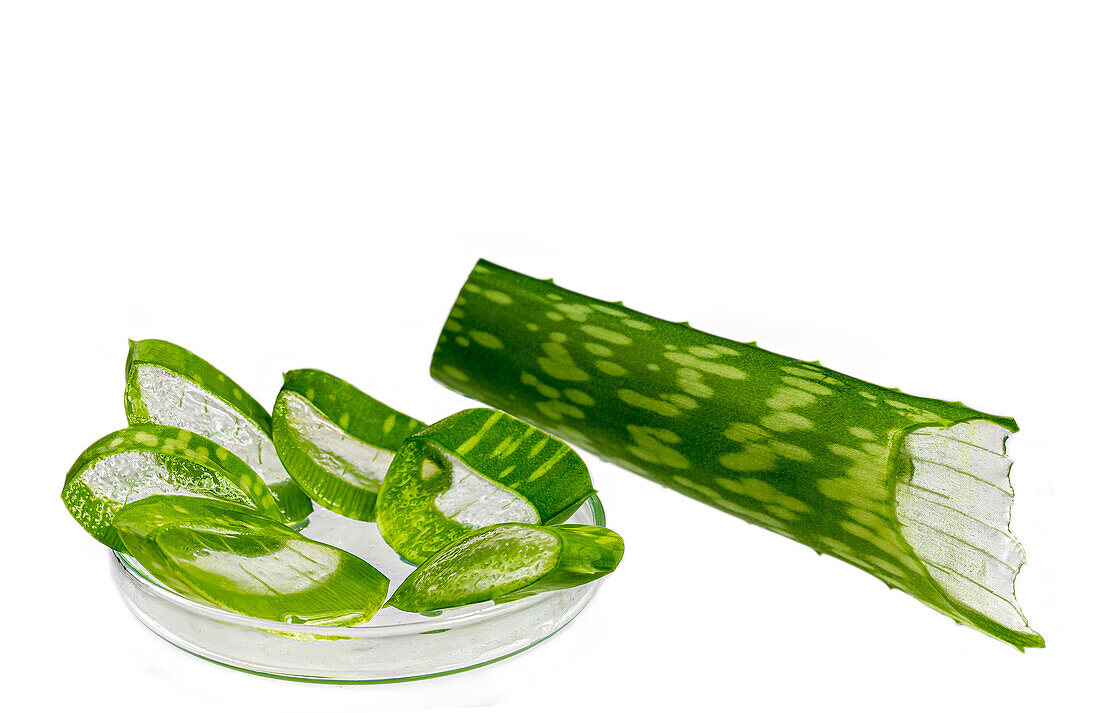 Chopped pieces of aloe vera in a small bowl