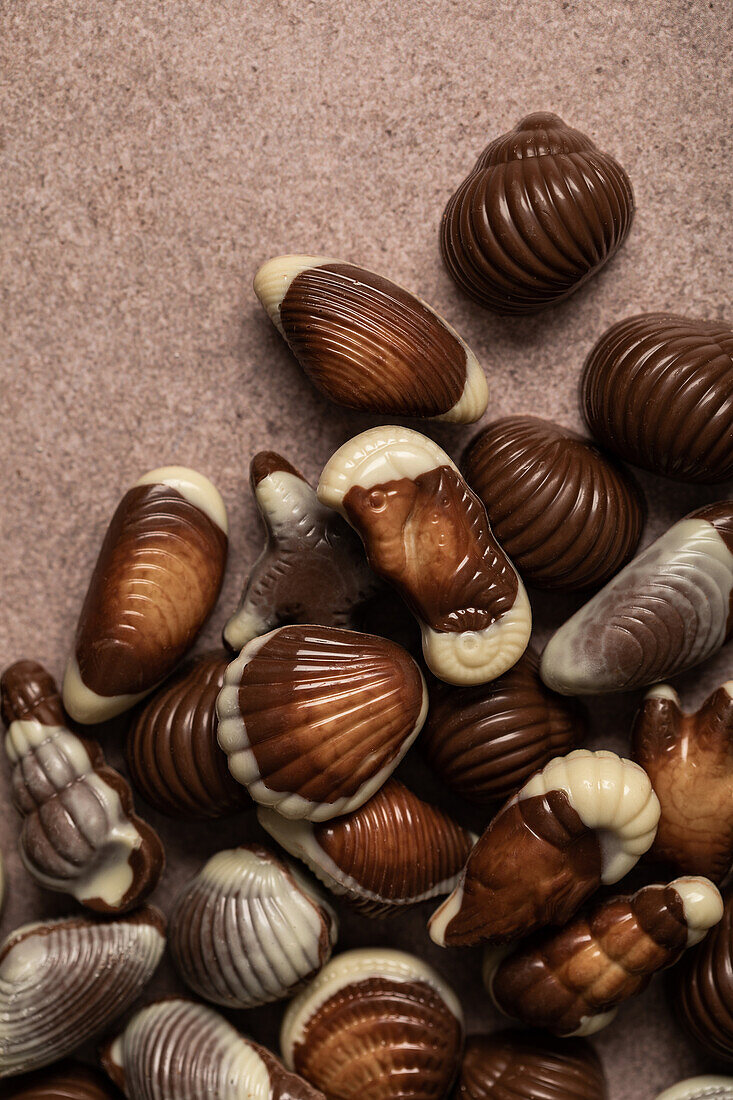 Schokoladenpralinen in Form von Muscheln und Meeresfrüchten (Nahaufnahme)