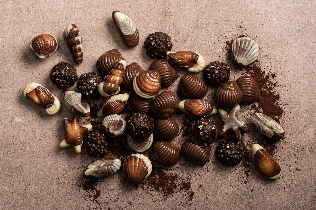 Schokoladenpralinen in Form von Muscheln und Meeresfrüchten