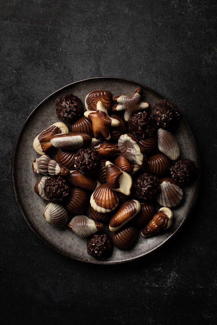 Schokoladenpralinen in Form von Muscheln und Krustentieren