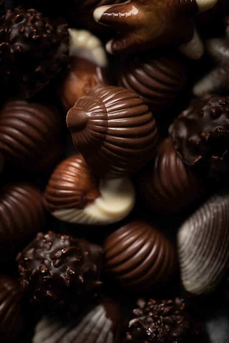 Close up of chocolate pralines in seashell shape