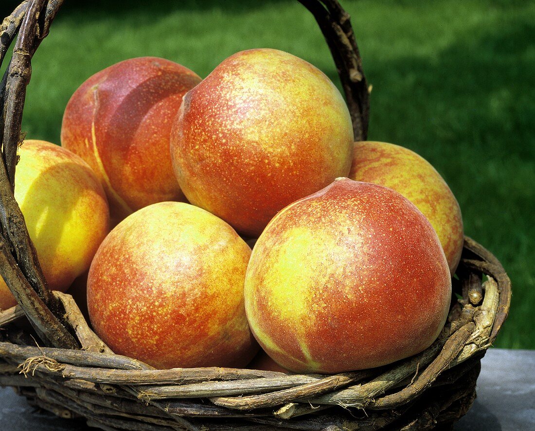 Basket of Fresh Peaches; Outdoors