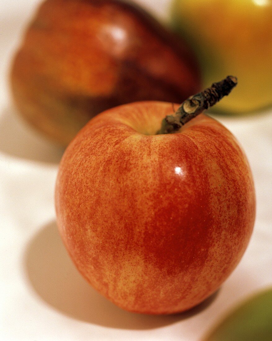Ein frischer roter Apfel vor zwei anderen Äpfeln (unscharf)