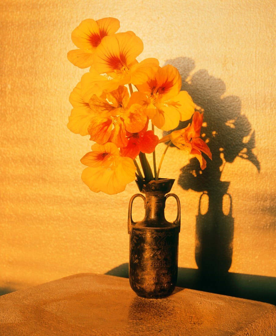 Nasturtiums in a Vase