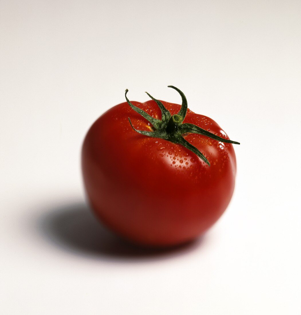 Eine Tomate mit Wassertropfen auf weißem Untergrund