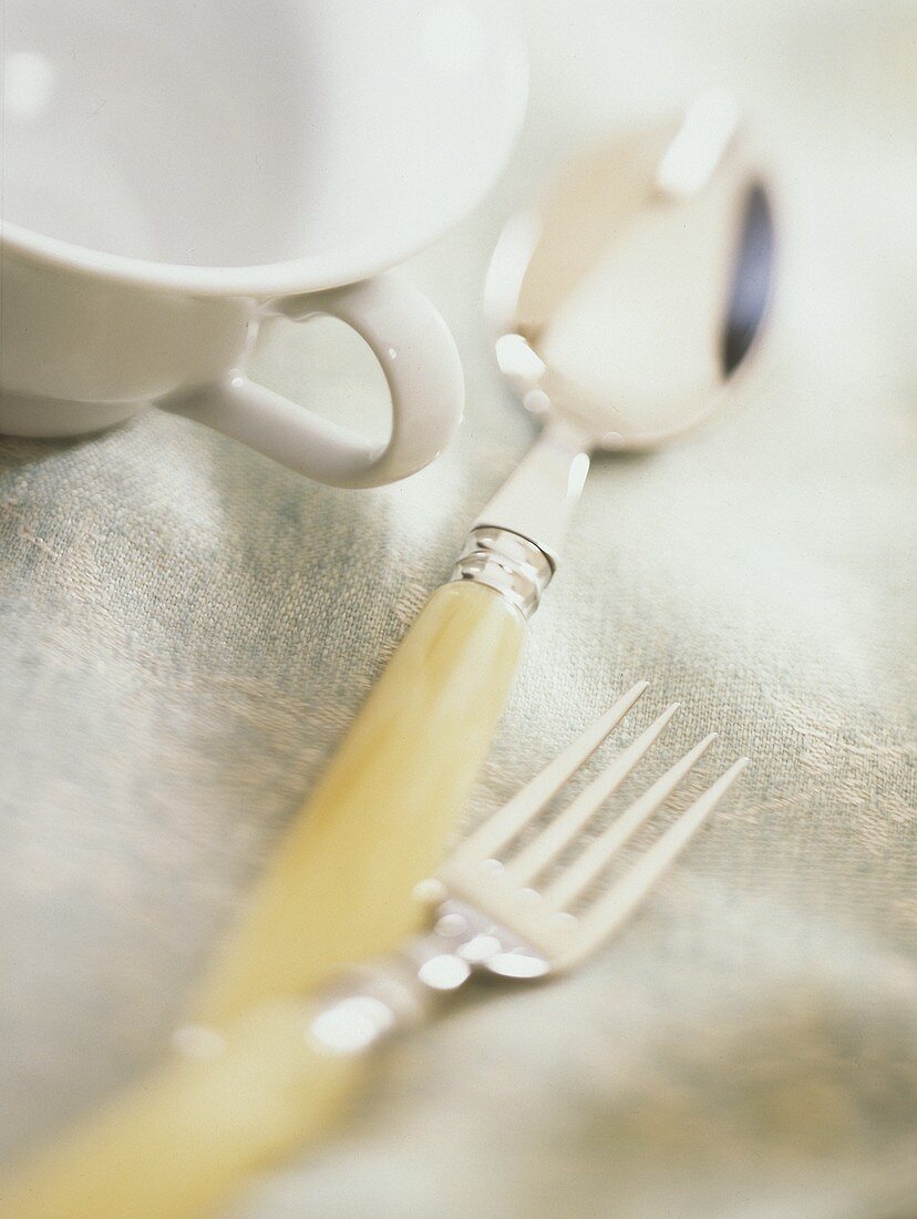 Fork and Spoon; Tea Cup